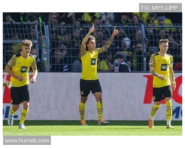 多特蒙德对阵汉堡精彩直播全程回顾与赛后分析